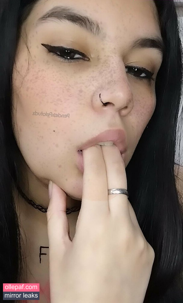 Latest Leaks pendejxpelotudxfree Nude #6 - Fapello
