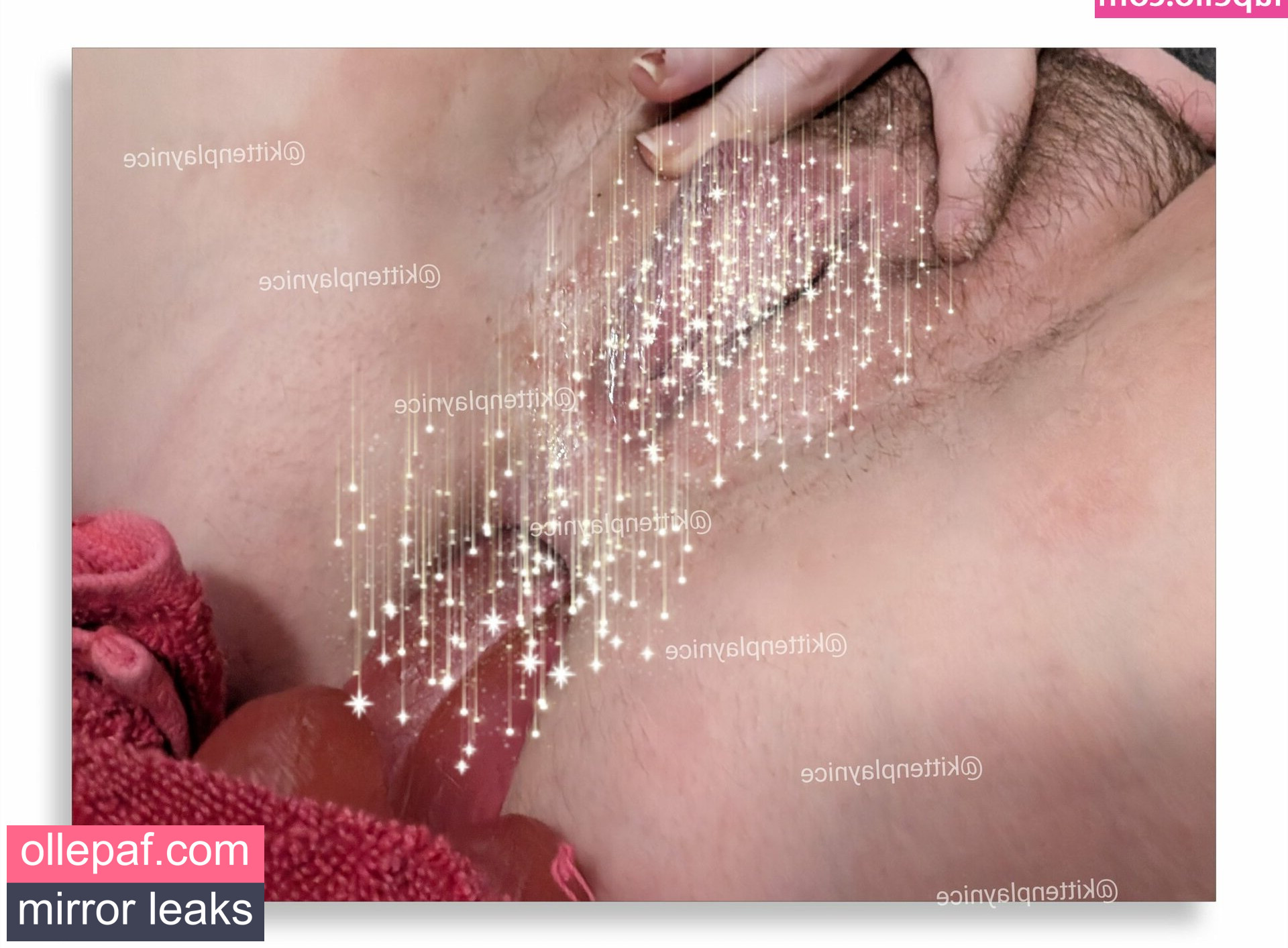 Latest Leaks pettanhon Nude #27 - Fapello