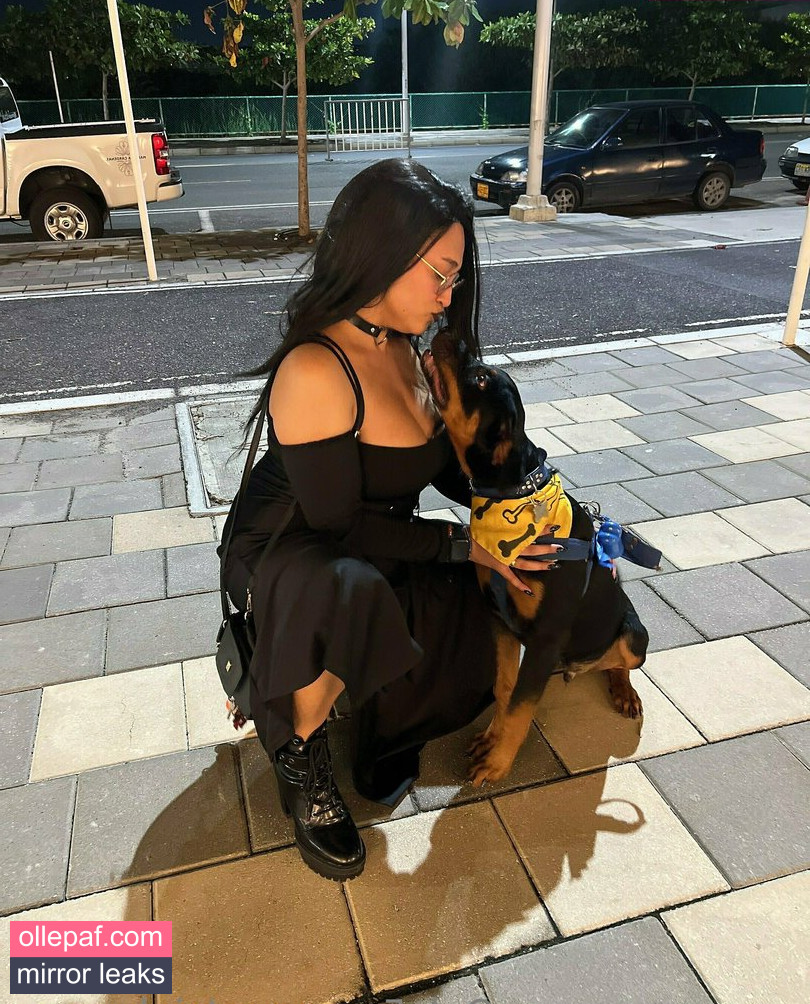 Latest Leaks pinkuasmr Nude #95 - Fapello
