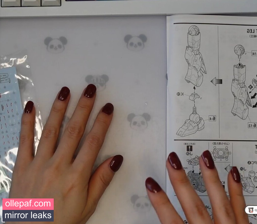 Latest Leaks PotasticPanda Nude #5 - Fapello