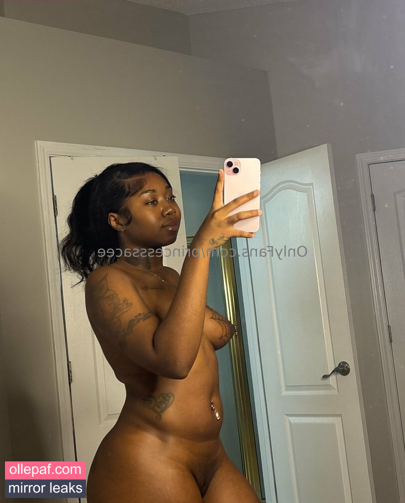 Latest Leaks princesssacee Nude #45 - Fapello