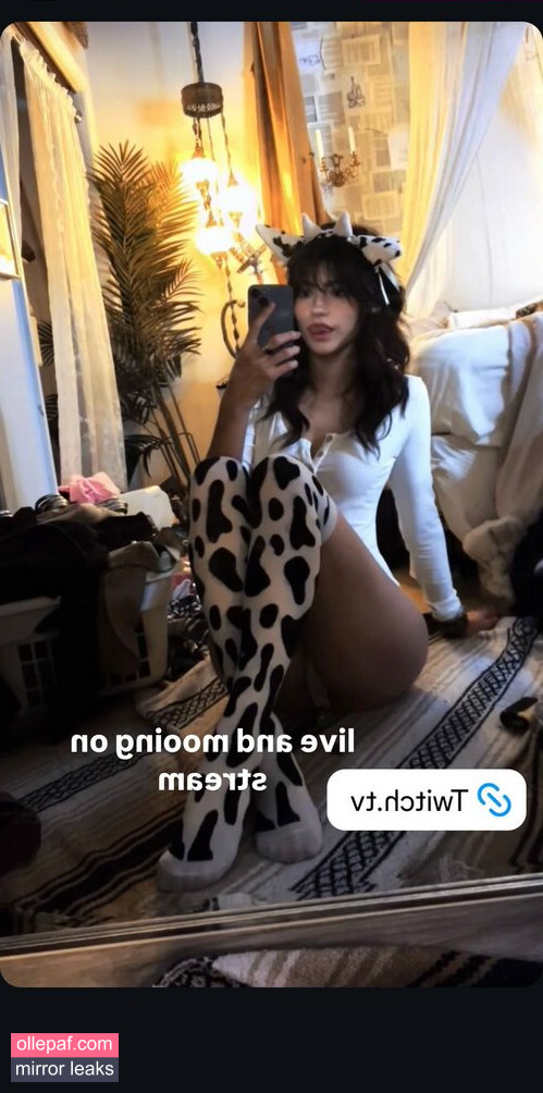 Latest Leaks RawrReeXD Nude #14 - Fapello