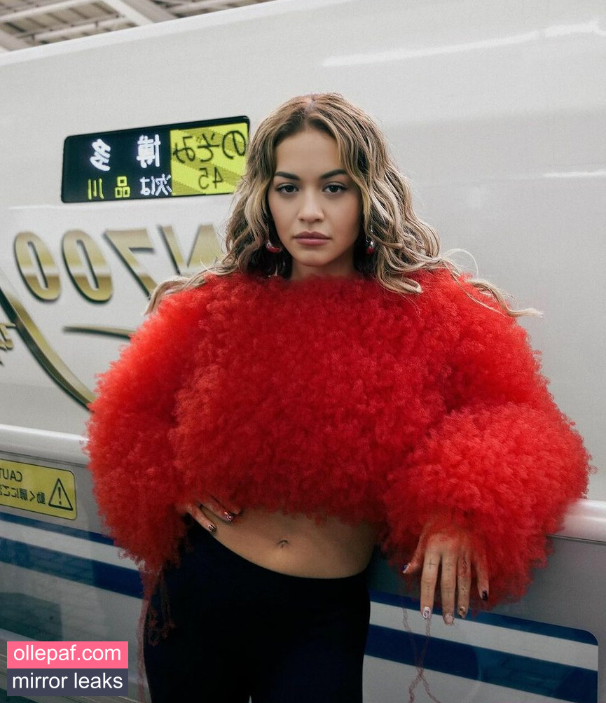 Latest Leaks Rita Ora Nude #434 - Fapello