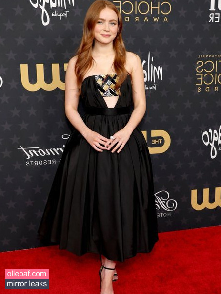 Latest Leaks Sadie Sink Nude #977 - Fapello
