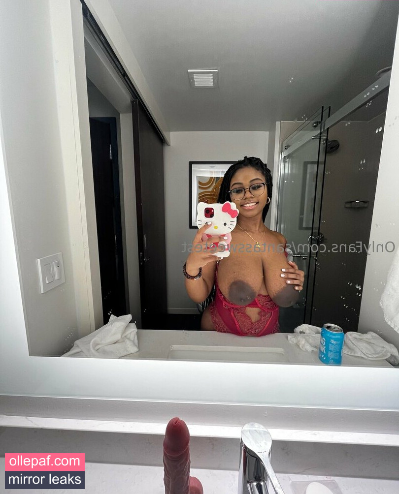 Latest Leaks SantasSweetest Nude #18 - Fapello