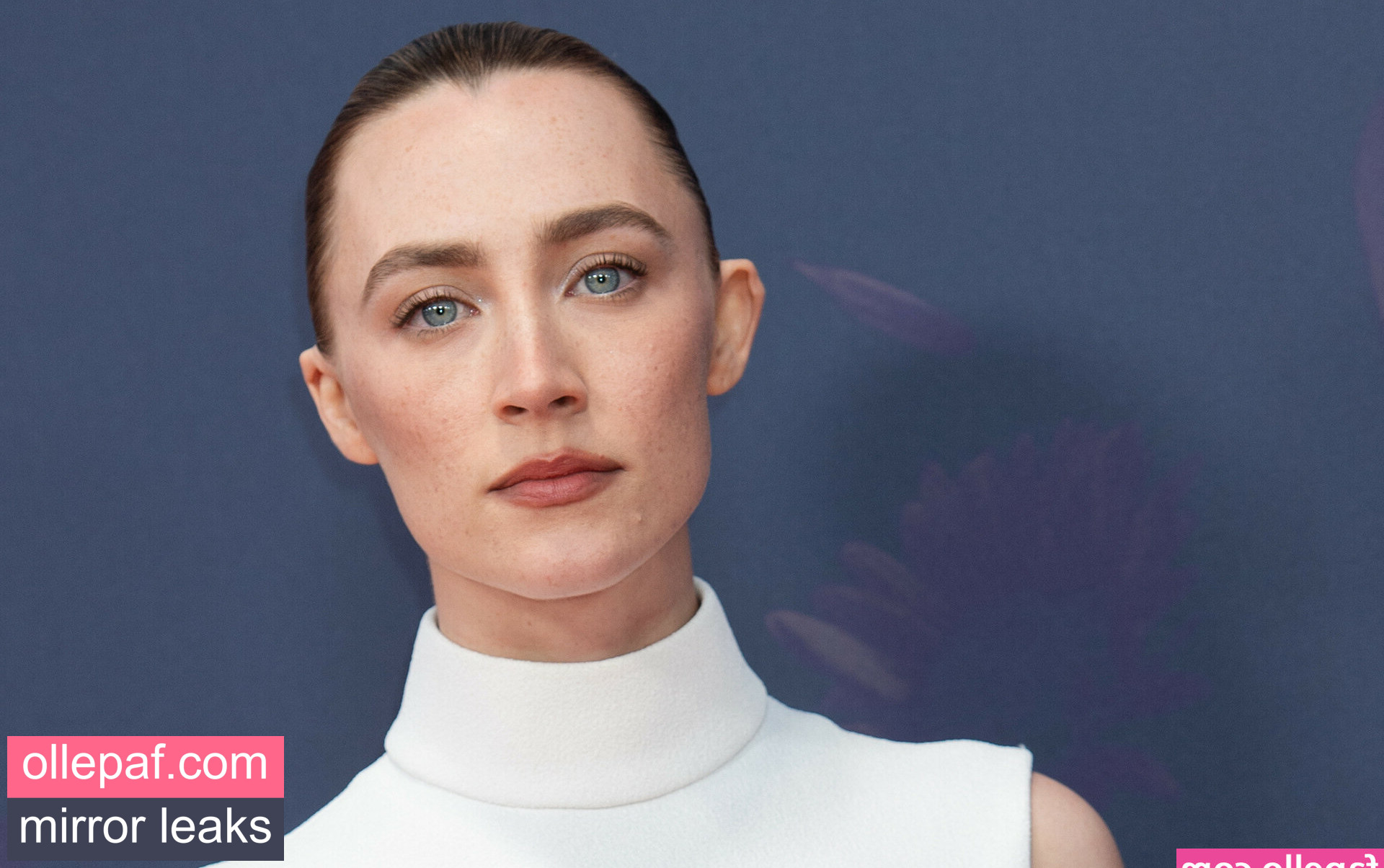 Latest Leaks Saoirse Ronan Nude #107 - Fapello