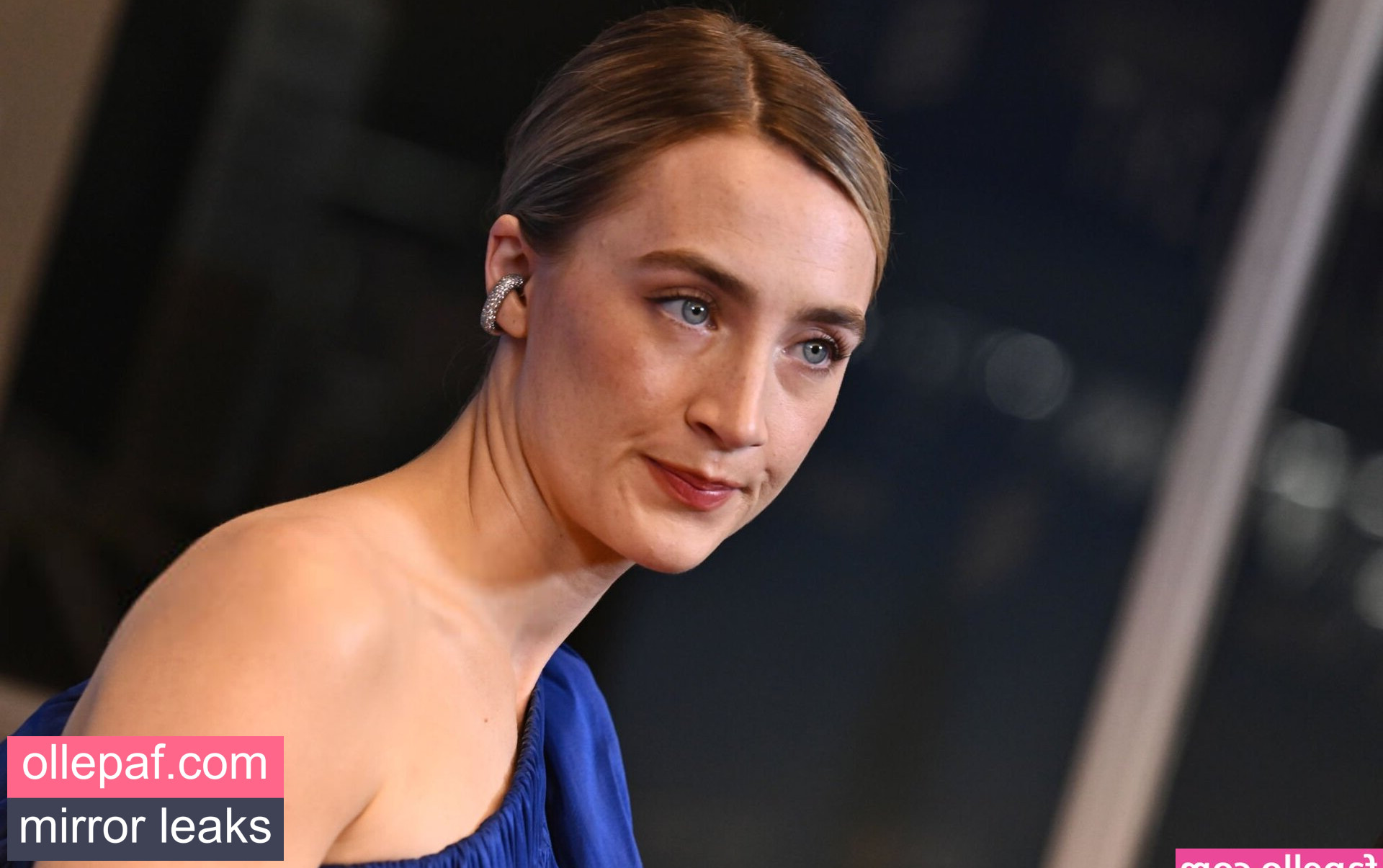 Latest Leaks Saoirse Ronan Nude #160 - Fapello