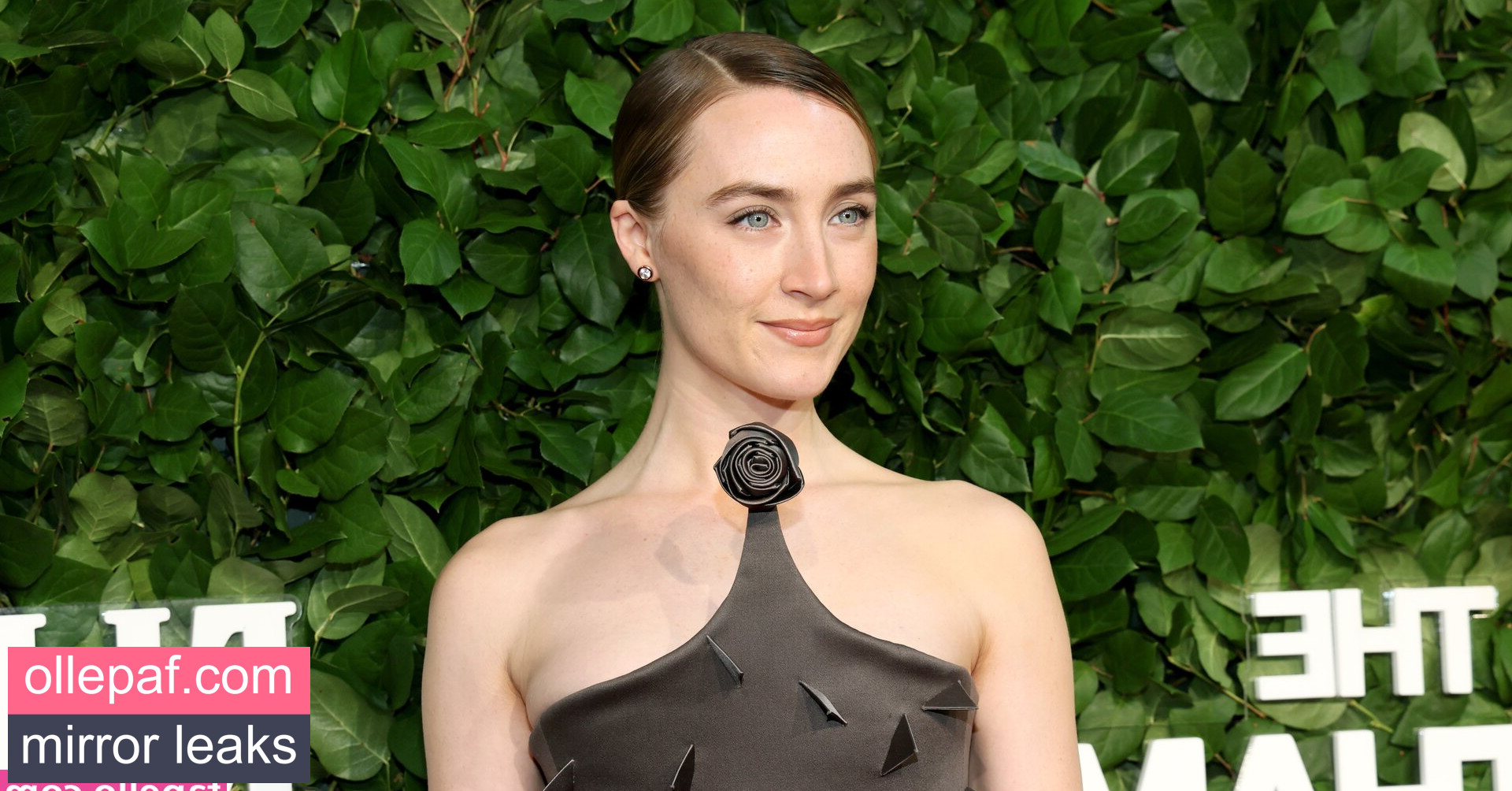 Latest Leaks Saoirse Ronan Nude #34 - Fapello