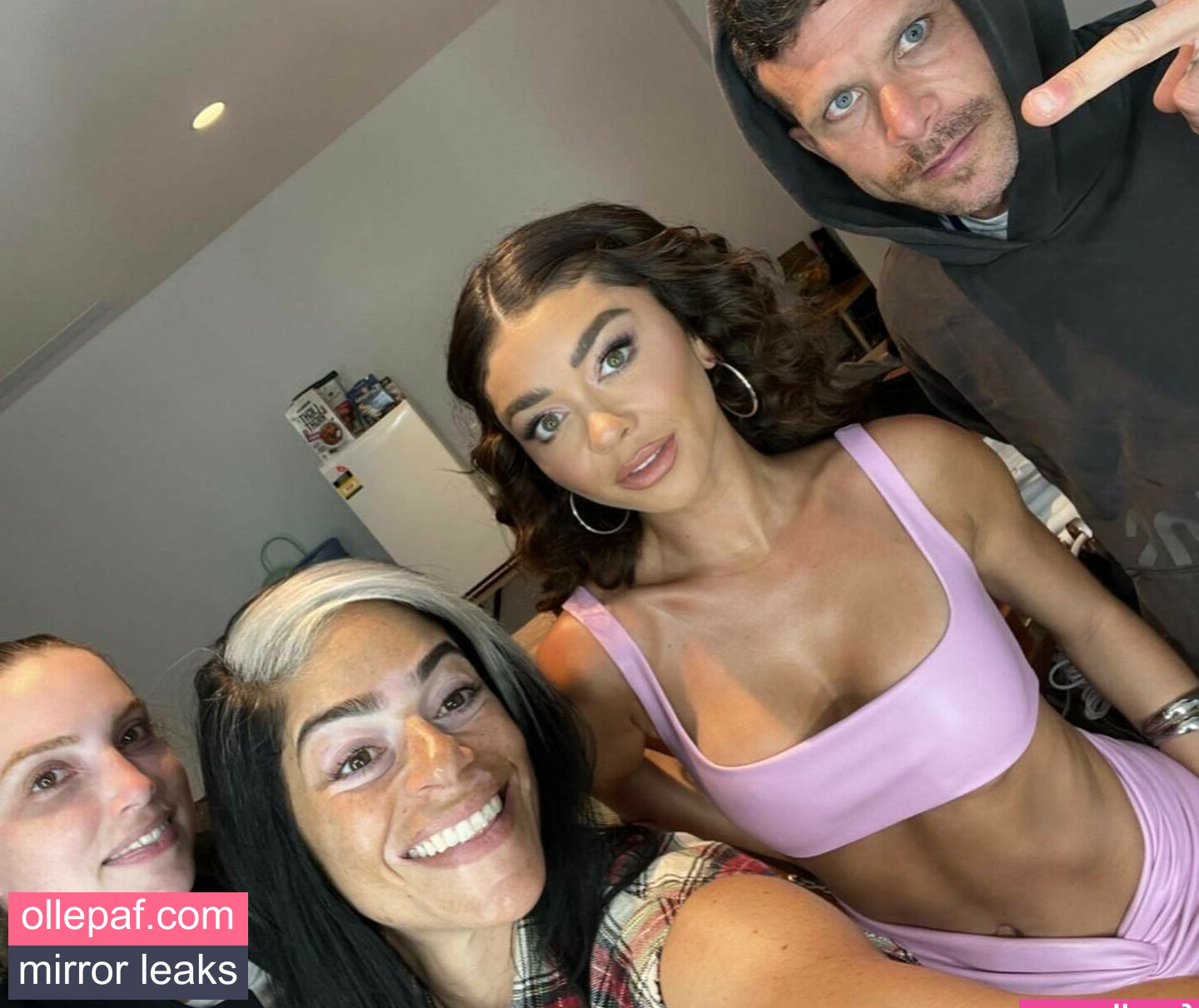 Latest Leaks Sarah Hyland Nude #663 - Fapello