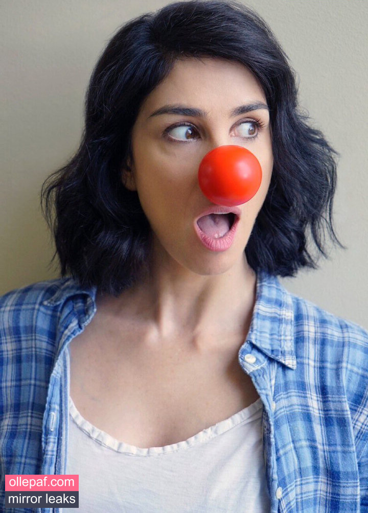 Latest Leaks Sarah Silverman Nude #41 - Fapello