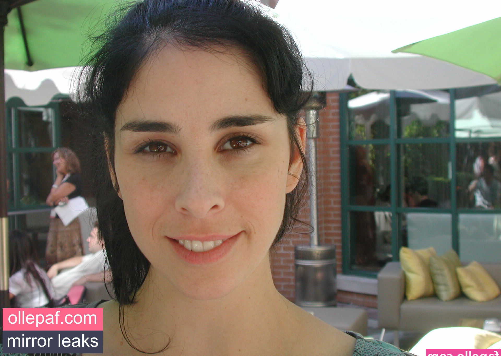 Latest Leaks Sarah Silverman Nude #77 - Fapello
