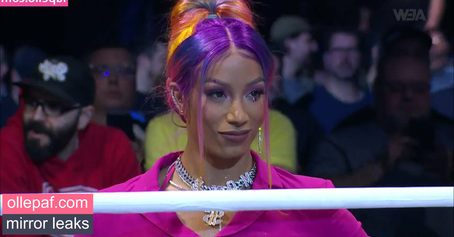Latest Leaks Sasha Banks Nude #1113 - Fapello