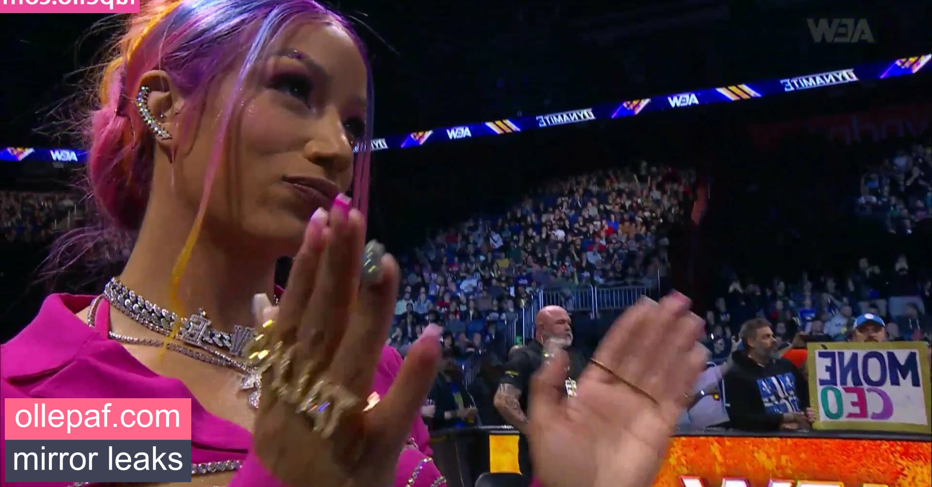 Latest Leaks Sasha Banks Nude #1115 - Fapello