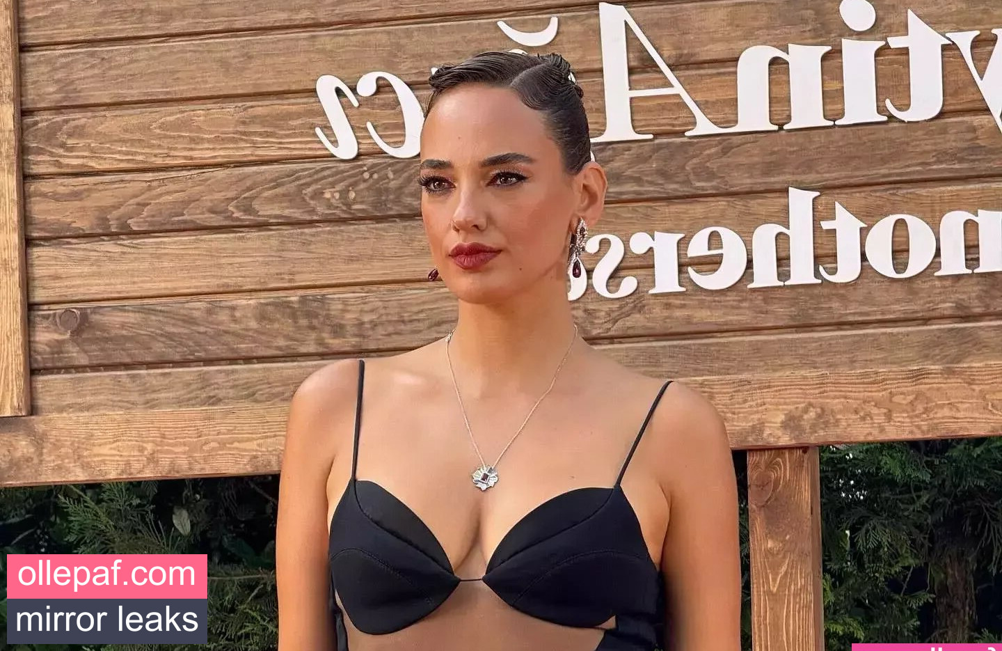 Latest Leaks Seda Bakan Nude #10 - Fapello