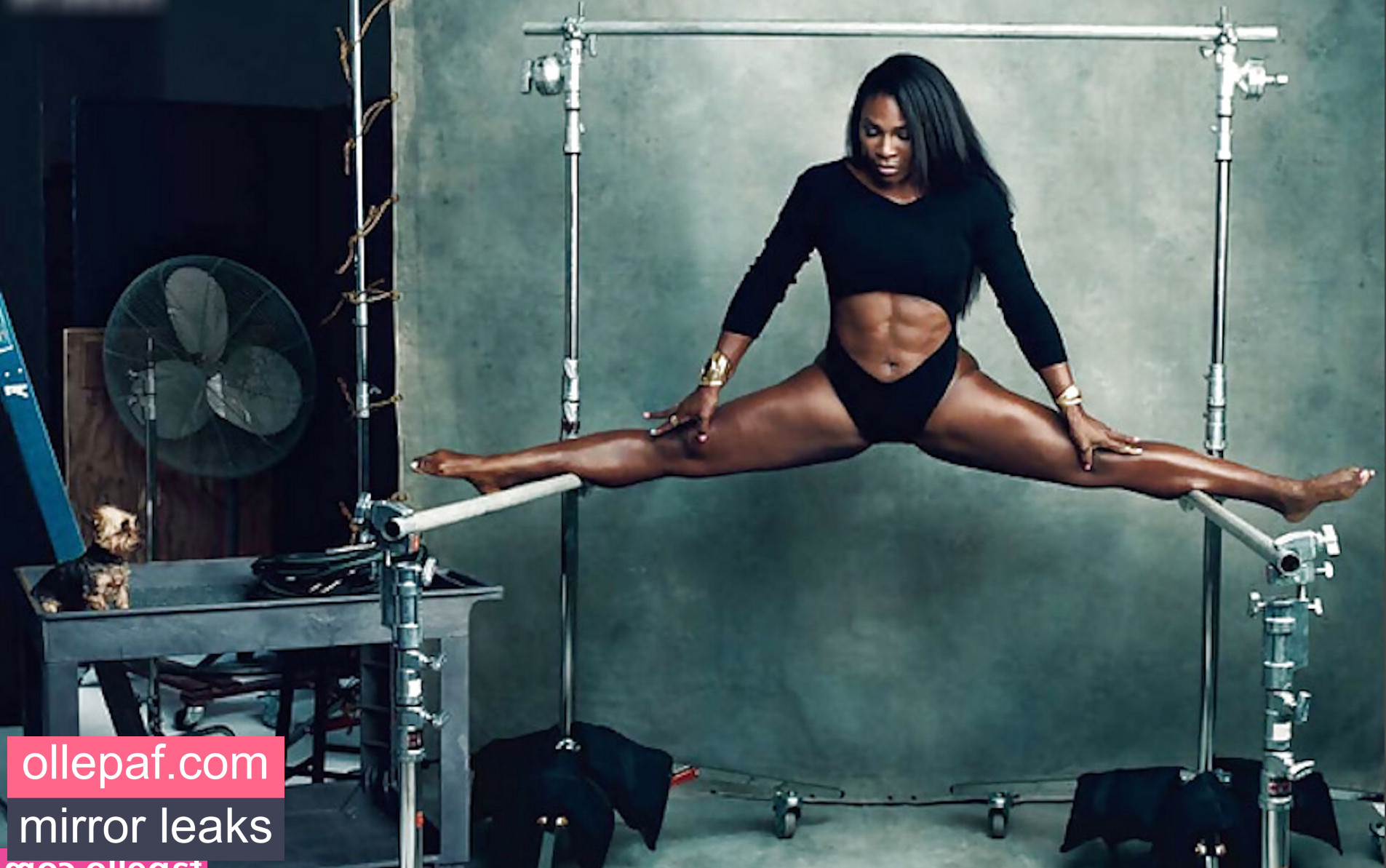 Latest Leaks Serena Williams Nude #316 - Fapello