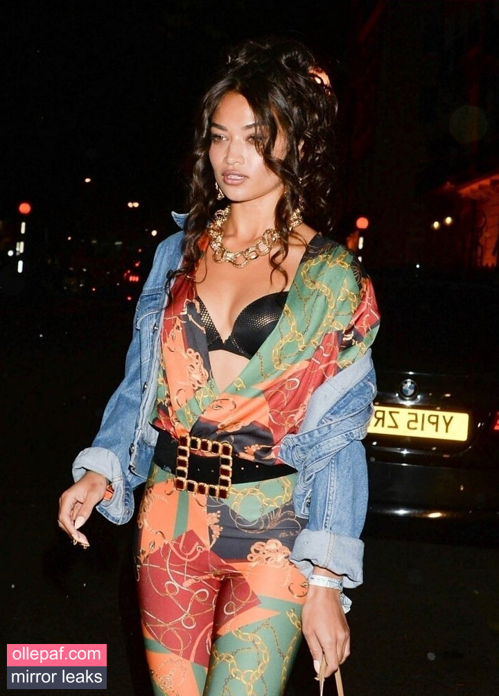 Latest Leaks Shanina Shaik Nude #151 - Fapello