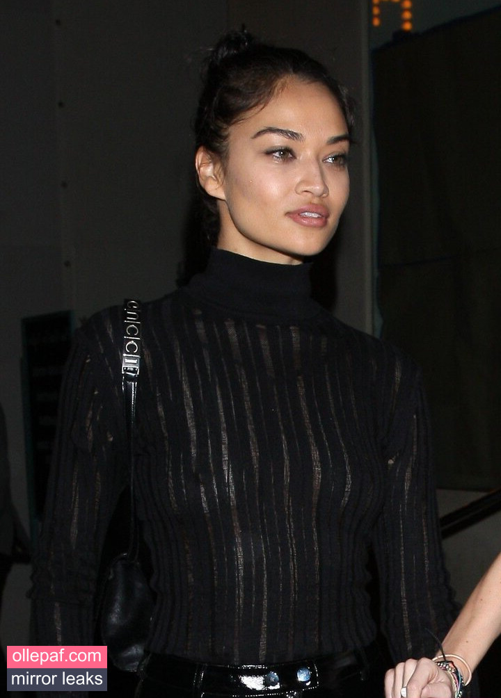 Latest Leaks Shanina Shaik Nude #341 - Fapello
