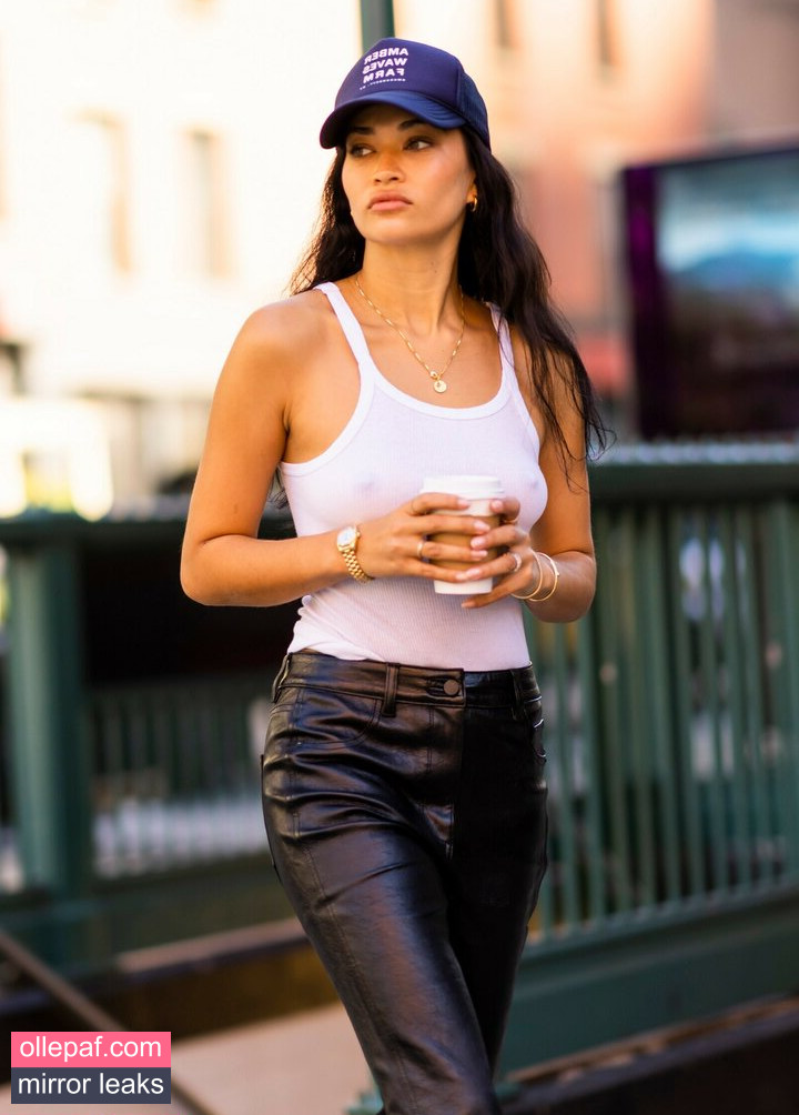 Latest Leaks Shanina Shaik Nude #456 - Fapello