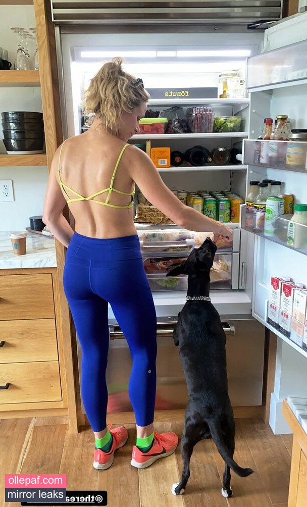 Latest Leaks Shantel VanSanten Nude #472 - Fapello