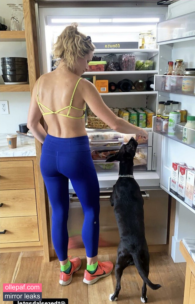 Latest Leaks Shantel VanSanten Nude #475 - Fapello