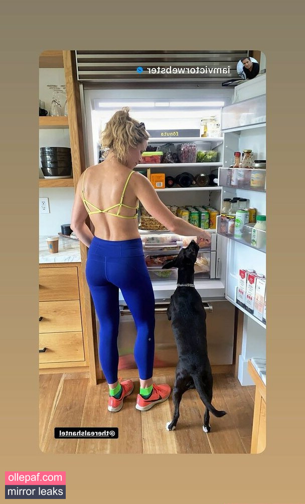 Latest Leaks Shantel VanSanten Nude #476 - Fapello