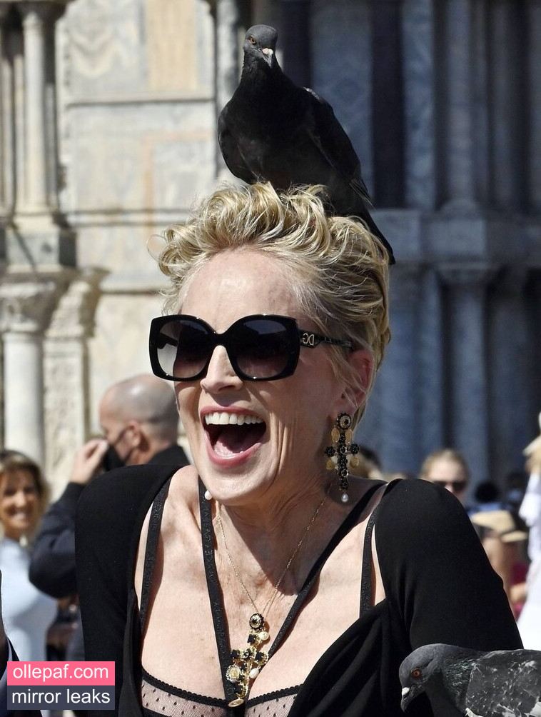 Latest Leaks Sharon Stone Nude #161 - Fapello