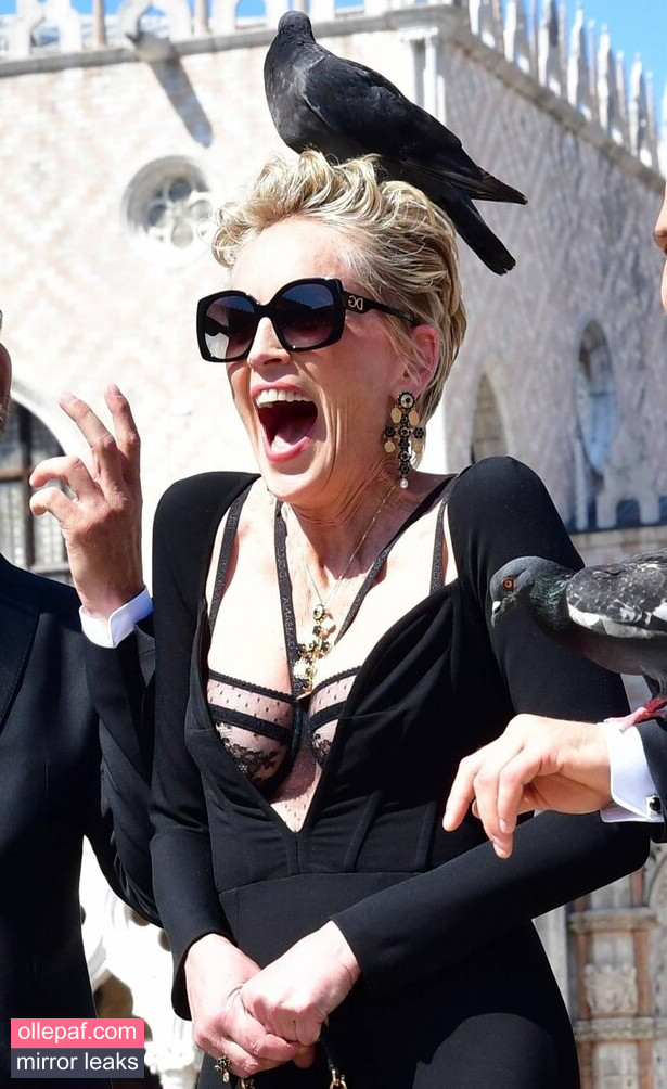Latest Leaks Sharon Stone Nude #163 - Fapello