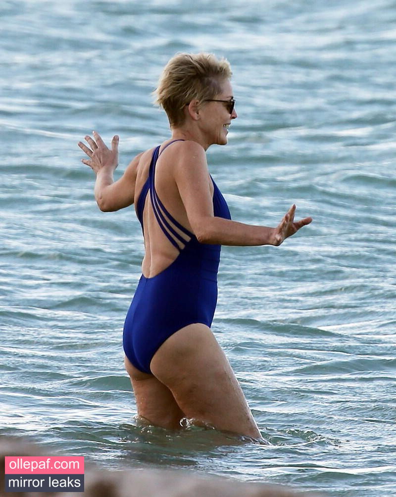 Latest Leaks Sharon Stone Nude #195 - Fapello