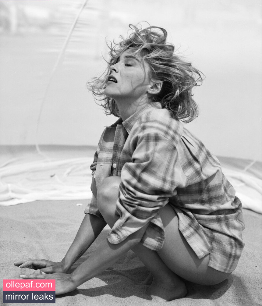 Latest Leaks Sharon Stone Nude #313 - Fapello