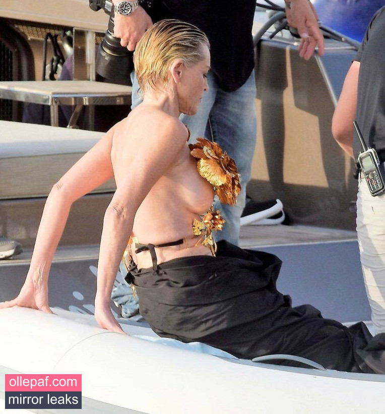 Latest Leaks Sharon Stone Nude #378 - Fapello