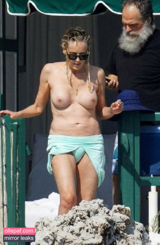 Latest Leaks Sharon Stone Nude #384 - Fapello