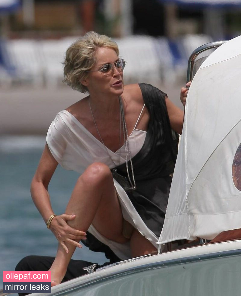 Latest Leaks Sharon Stone Nude #415 - Fapello