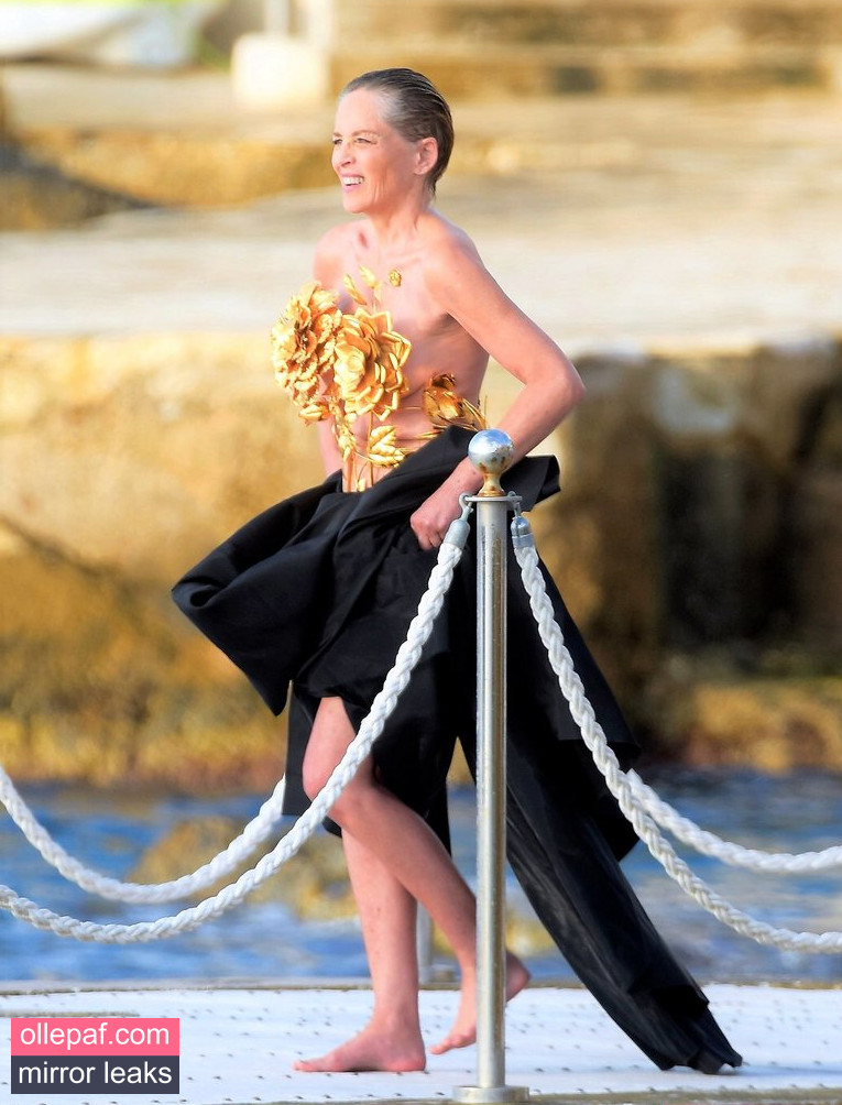 Latest Leaks Sharon Stone Nude #469 - Fapello