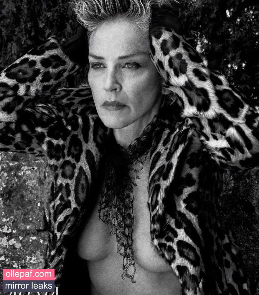 Latest Leaks Sharon Stone Nude #75 - Fapello