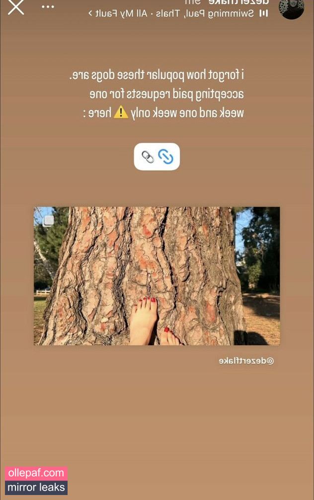 Latest Leaks Sher Arar Nude #2 - Fapello