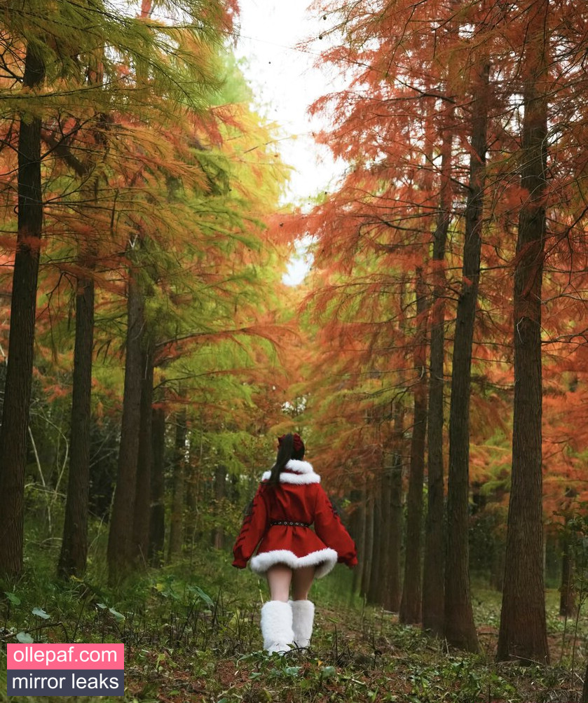 Latest Leaks shiliuyelei Nude #22 - Fapello