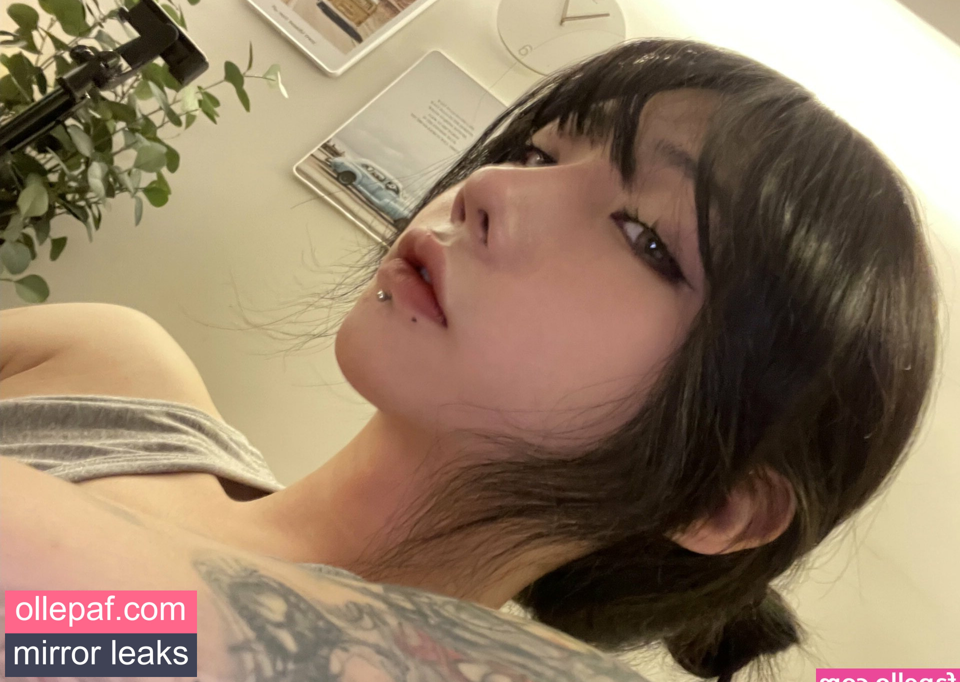 Latest Leaks shiliuyelei Nude #610 - Fapello