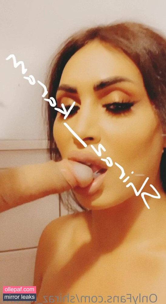 Latest Leaks shiraz_karam Nude #14 - Fapello