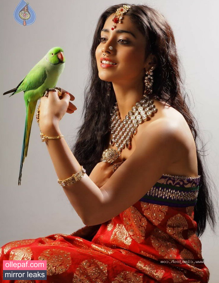 Latest Leaks Shriya Saran Nude #11 - Fapello