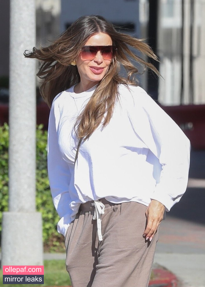 Latest Leaks Sofia Vergara Nude #1006 - Fapello