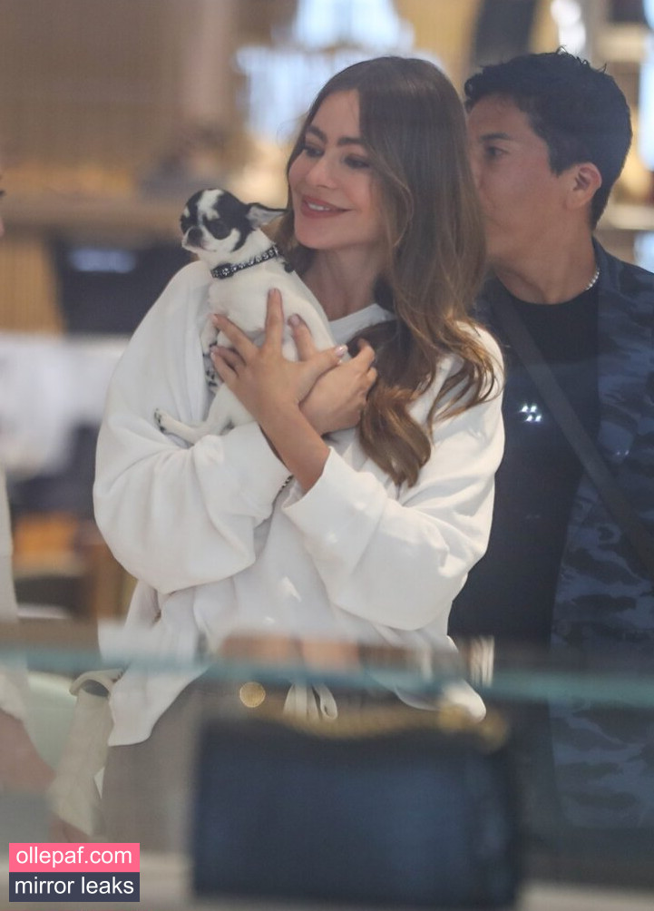 Latest Leaks Sofia Vergara Nude #1008 - Fapello