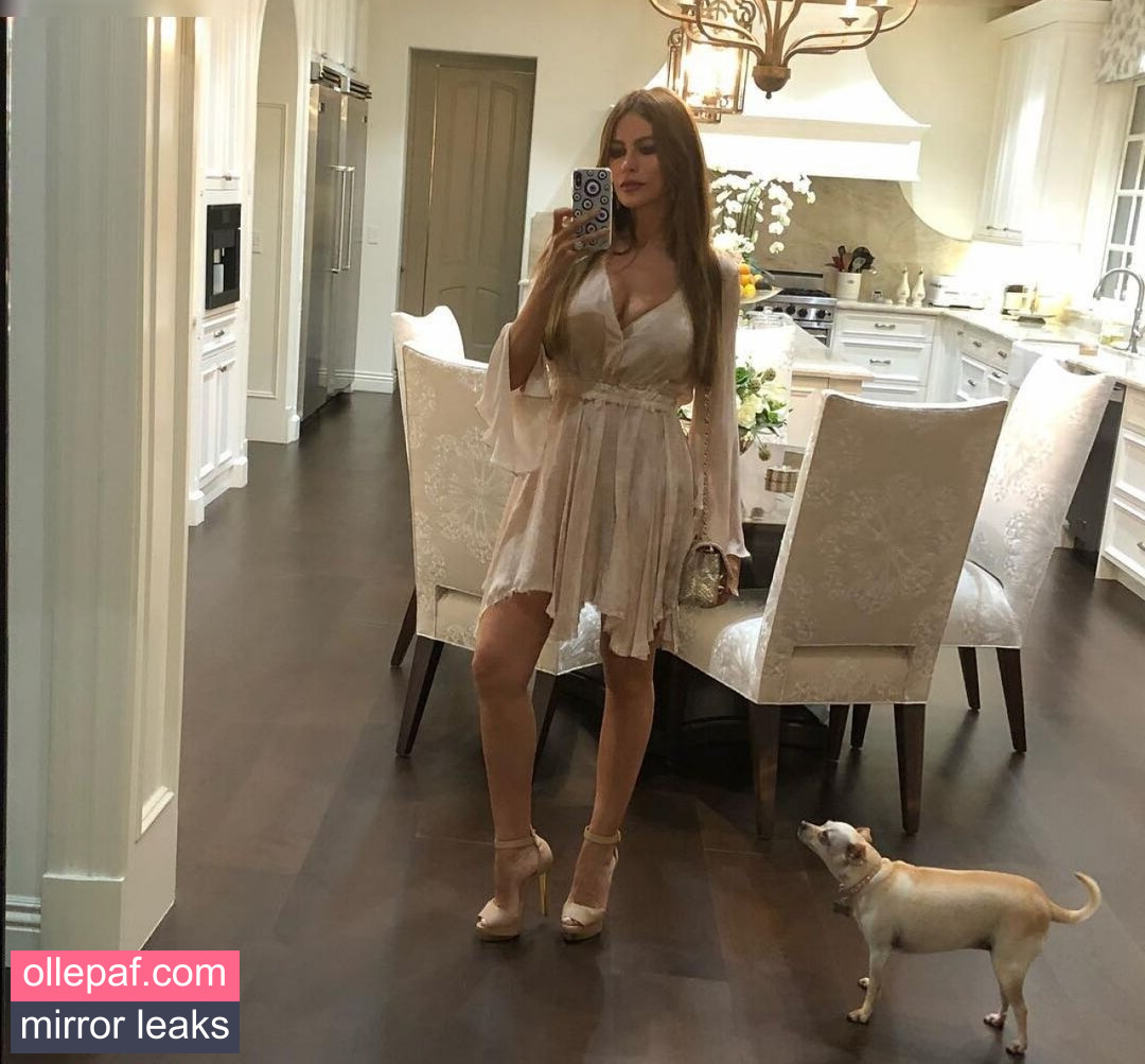 Latest Leaks Sofia Vergara Nude #1108 - Fapello