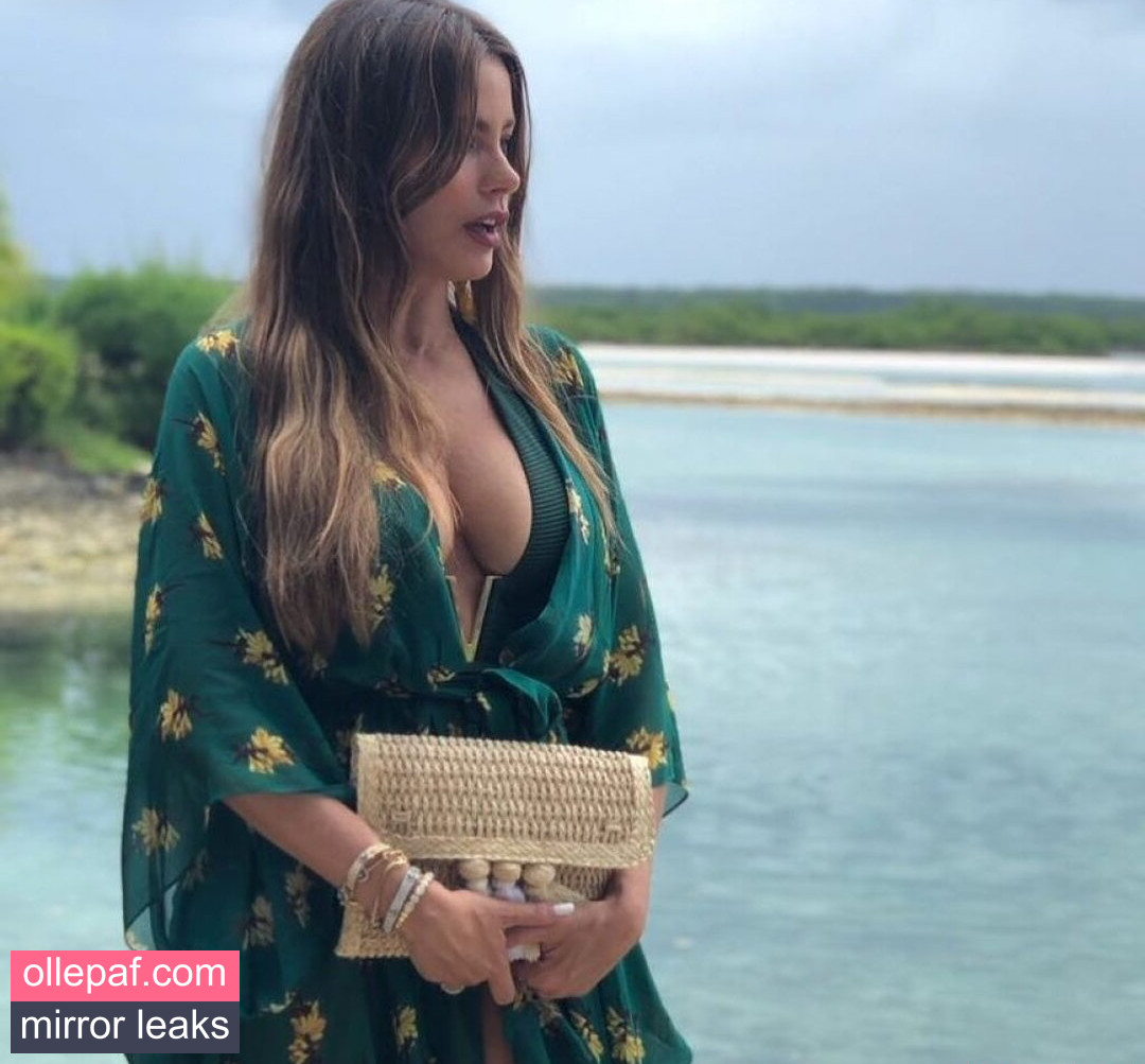 Latest Leaks Sofia Vergara Nude #1126 - Fapello