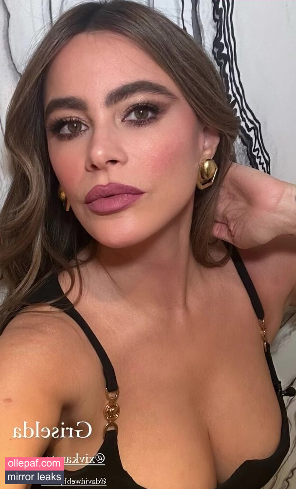 Latest Leaks Sofia Vergara Nude #1165 - Fapello