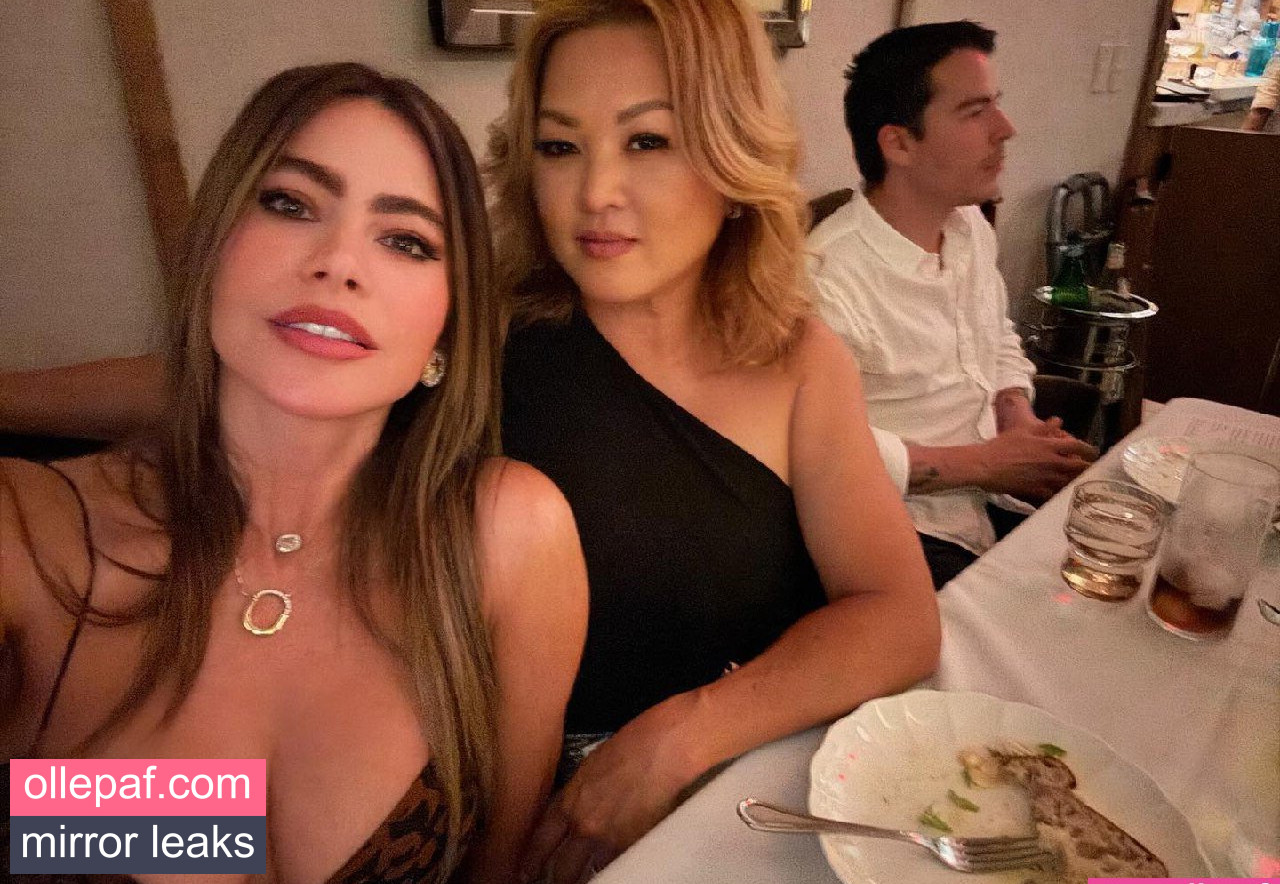 Latest Leaks Sofia Vergara Nude #1327 - Fapello
