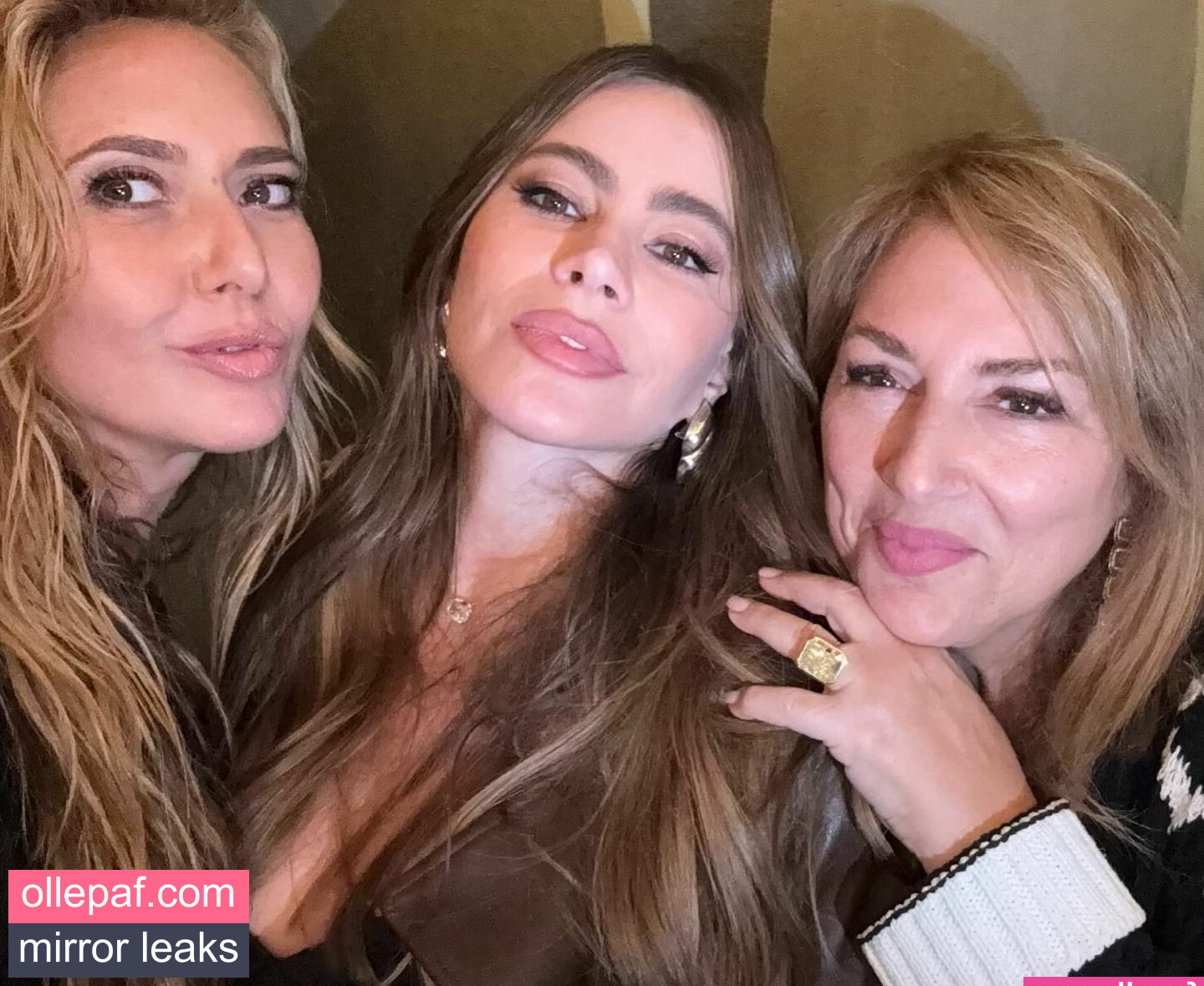 Latest Leaks Sofia Vergara Nude #242 - Fapello