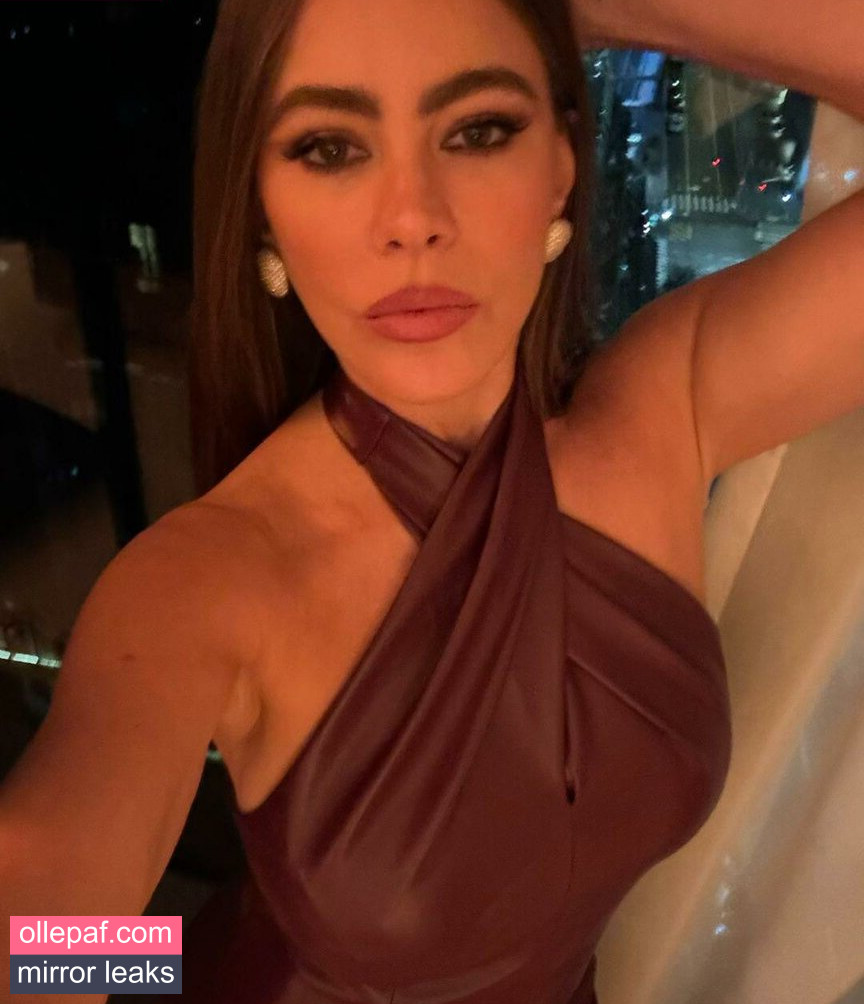 Latest Leaks Sofia Vergara Nude #298 - Fapello
