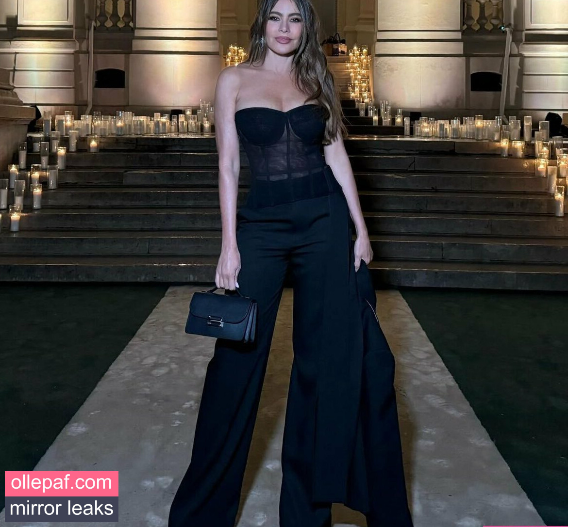 Latest Leaks Sofia Vergara Nude #380 - Fapello