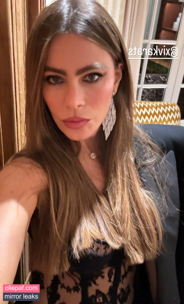 Latest Leaks Sofia Vergara Nude #427 - Fapello