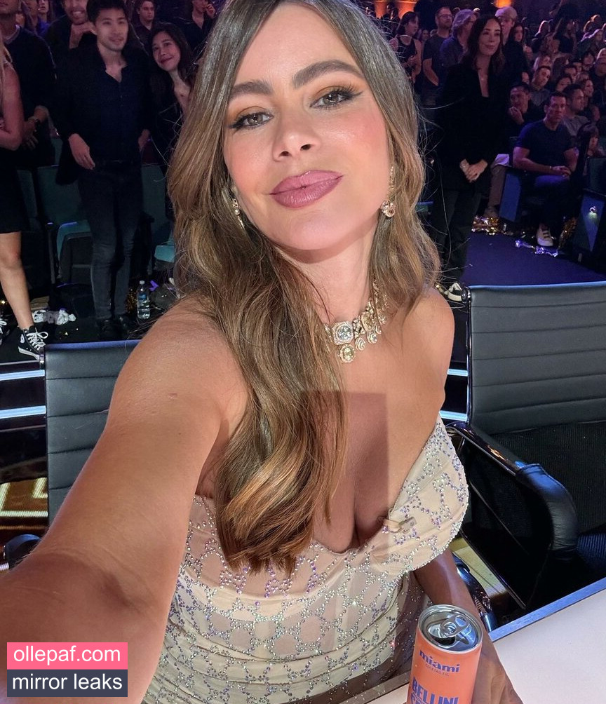 Latest Leaks Sofia Vergara Nude #429 - Fapello